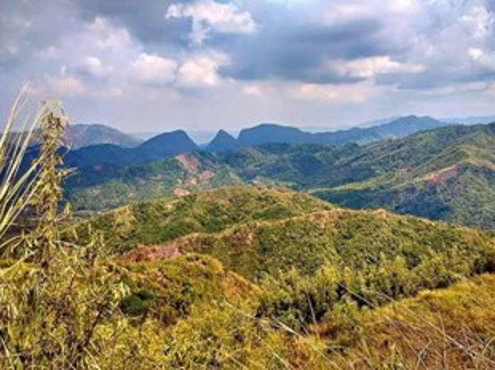 Mt. Matamis na Luya